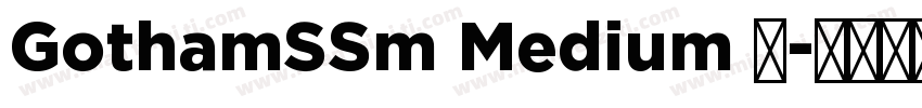 GothamSSm Medium 中字体转换